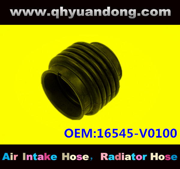 AIR INTAKE HOSE EB 16545-V0100