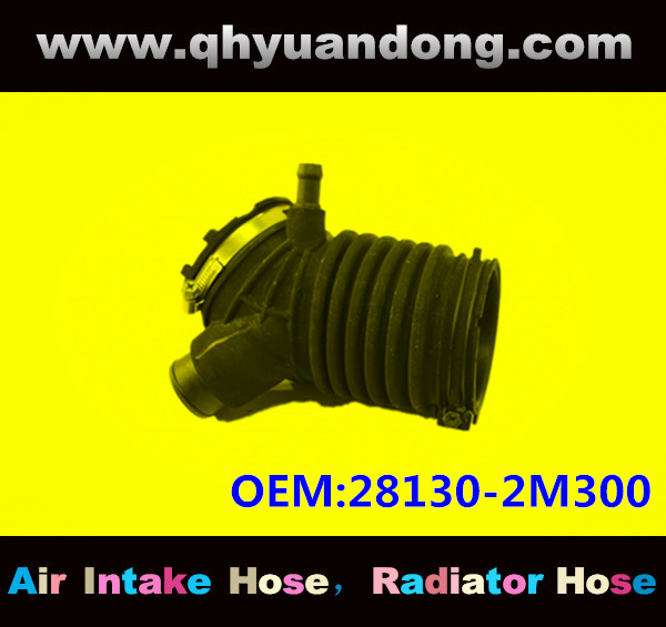 AIR INTAKE HOSE EB 28130-2M300