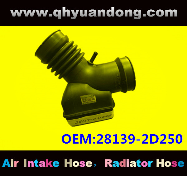 AIR INTAKE HOSE 28139-2D250