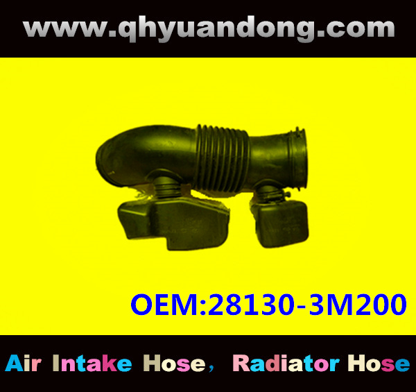 AIR INTAKE HOSE EB 28130-3M200