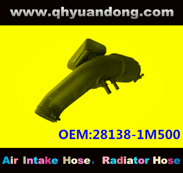 AIR INTAKE HOSE EB 28138-1M500