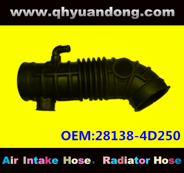 AIR INTAKE HOSE EB 28138-4D250