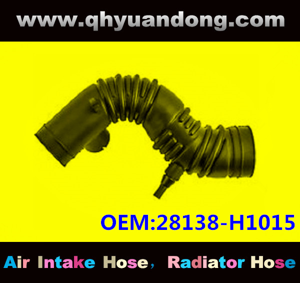 AIR INTAKE HOSE EB 28138-H1015
