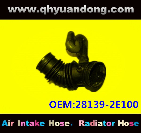 AIR INTAKE HOSE EB 28139-2E100