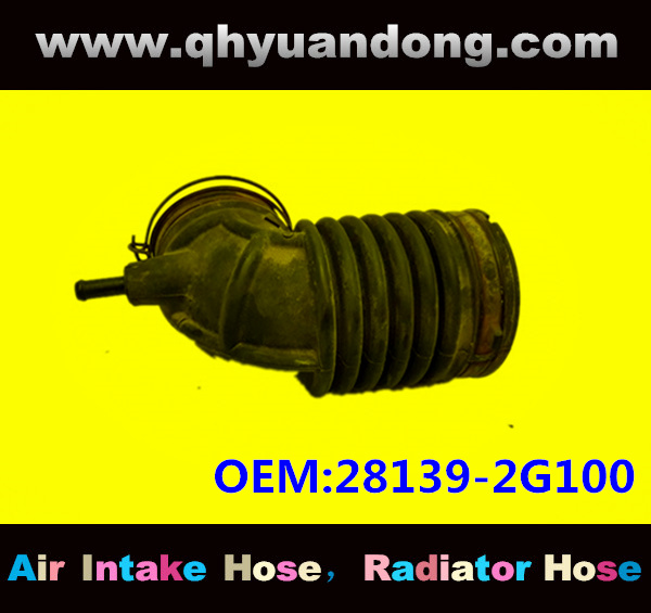 AIR INTAKE HOSE EB 28139-2G100