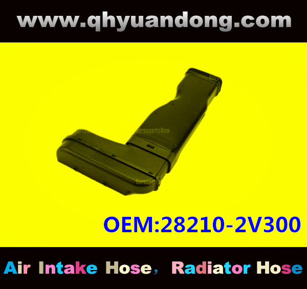 AIR INTAKE HOSE EB 28210-2V300