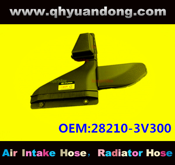 AIR INTAKE HOSE EB 28210-3V300
