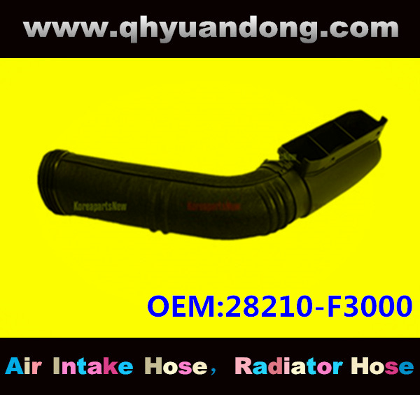 AIR INTAKE HOSE EB 28210-F3000
