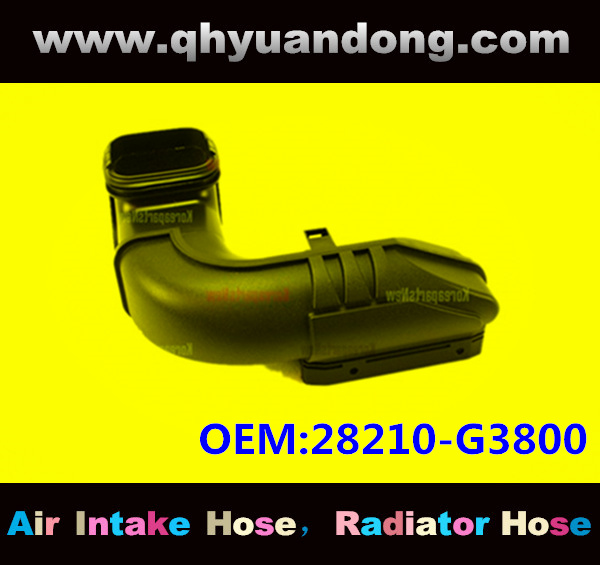 AIR INTAKE HOSE EB 28210-G3800