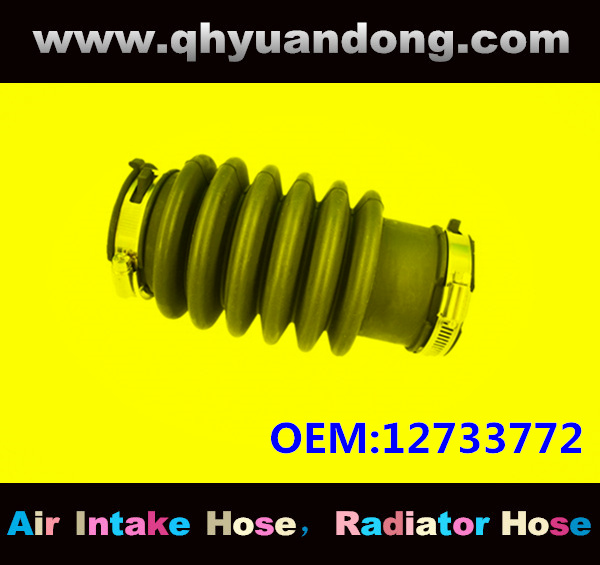 AIR INTAKE HOSE EB 12733772