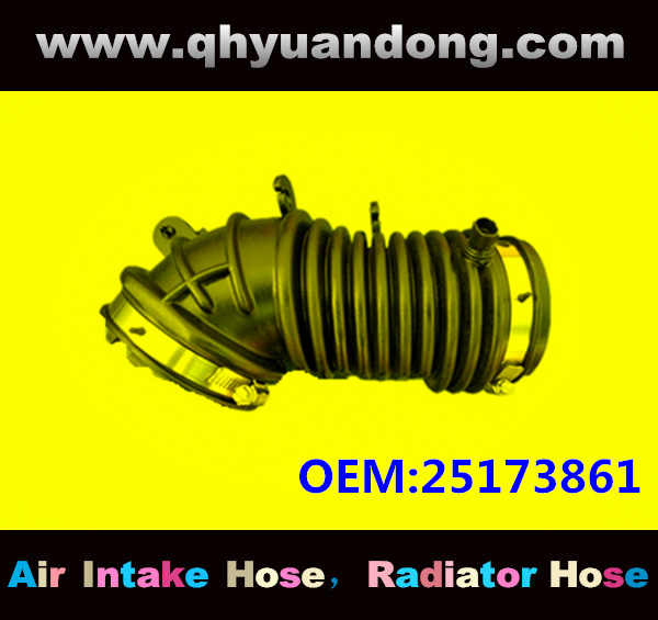 AIR INTAKE HOSE EB 25173861