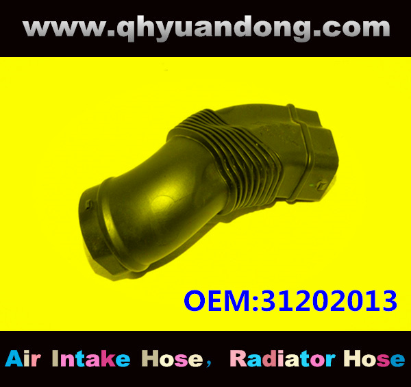 AIR INTAKE HOSE EB 31202013