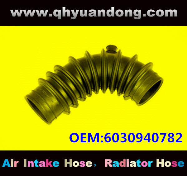 AIR INTAKE HOSE EB 6030940782