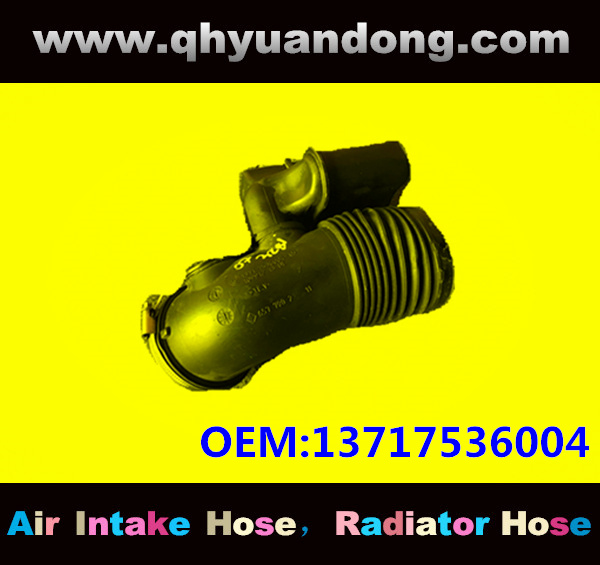 AIR INTAKE HOSE EB 13717536004