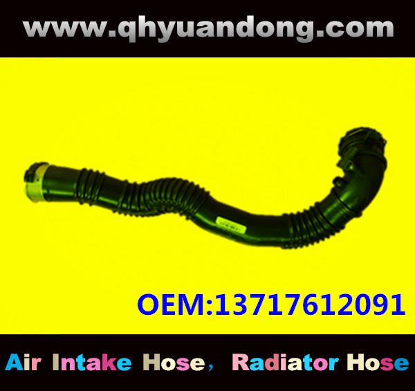 AIR INTAKE HOSE EB 13717612091