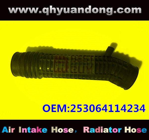 AIR INTAKE HOSE EB 253064114234