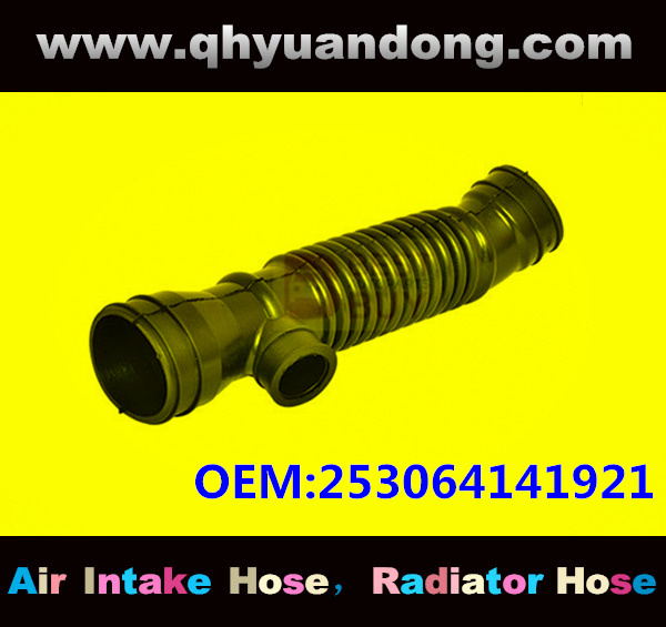 AIR INTAKE HOSE EB 253064141921