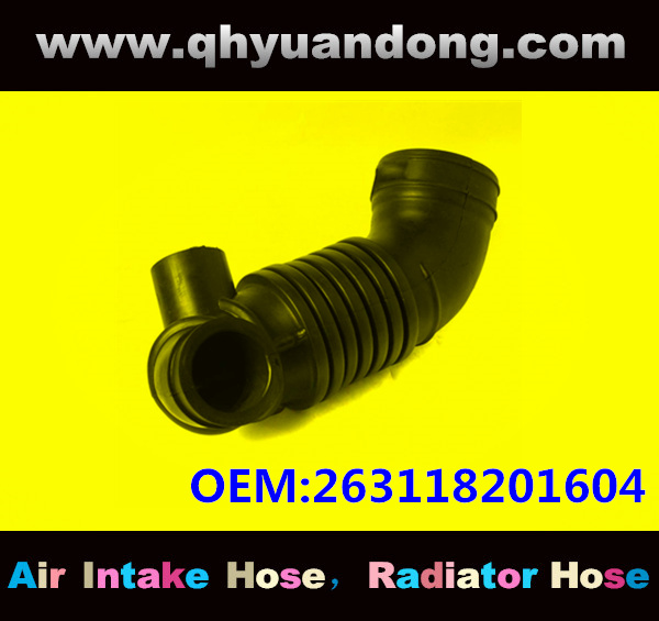 AIR INTAKE HOSE EB 263118201604