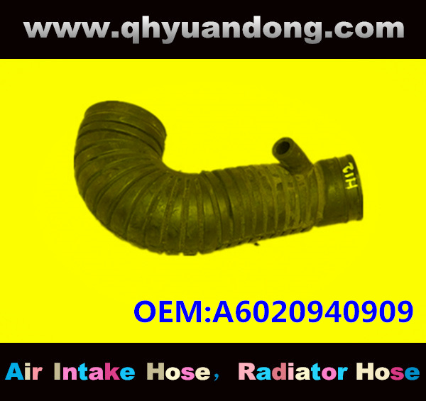 AIR INTAKE HOSE EB A6020940909