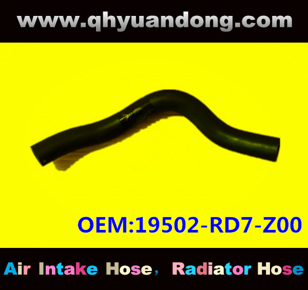 Radiator hose OEM:19502-RD7-Z00