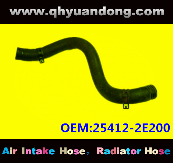 Radiator hose OEM:25412-2E200