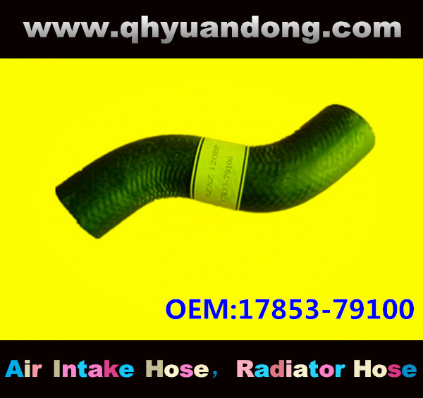 Radiator hose OEM:17853-79100