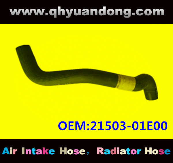 Radiator hose GG OEM:21503-01E00