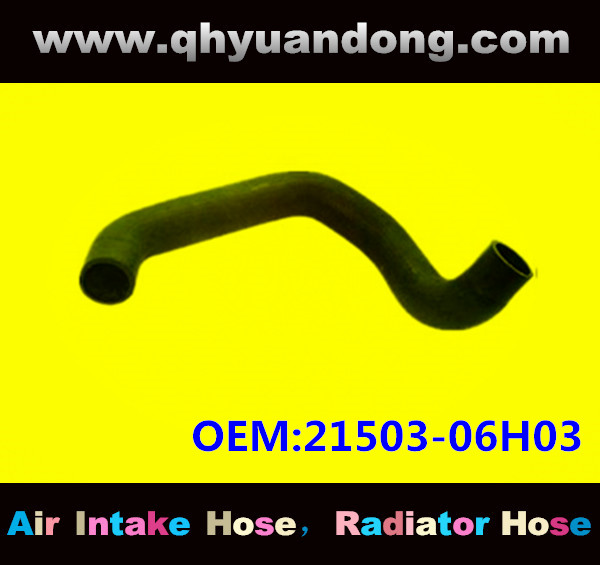 Radiator hose GG OEM:21503-06H03