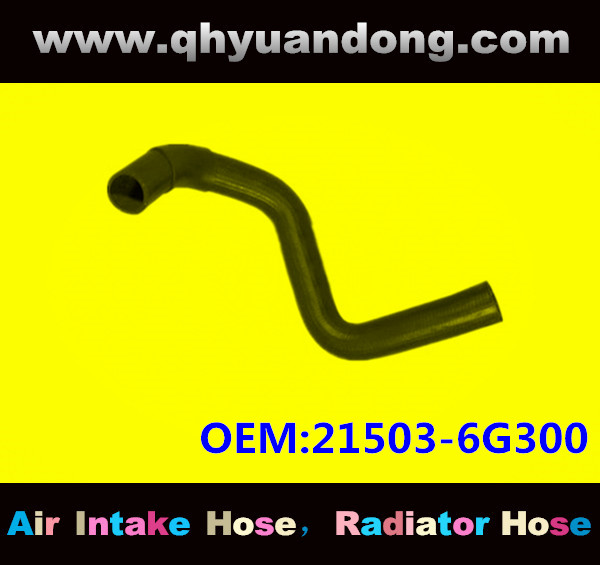Radiator hose GG OEM:21503-6G300