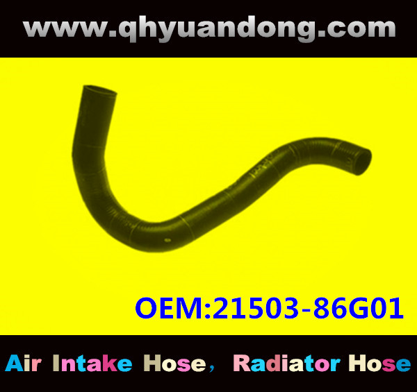 Radiator hose GG OEM:21503-86G01