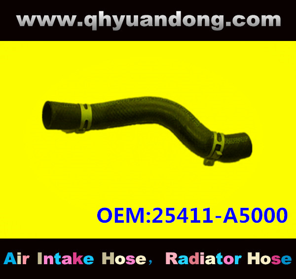 Radiator hose GG OEM:25411-A5000