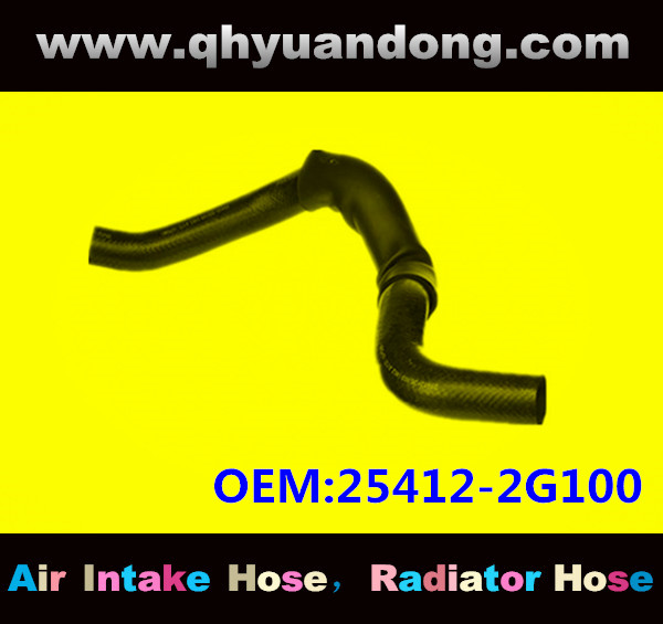 Radiator hose GG OEM:25412-2G100