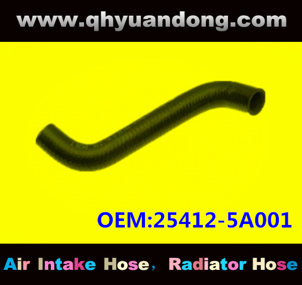 Radiator hose GG OEM:25412-5A001