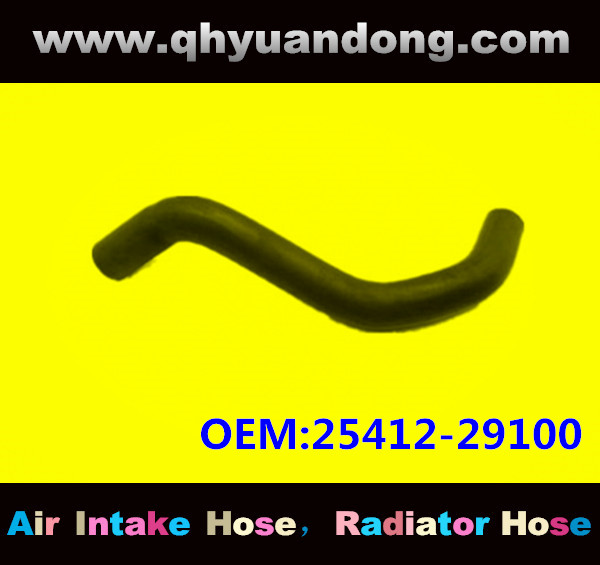 Radiator hose GG OEM:25412-29100