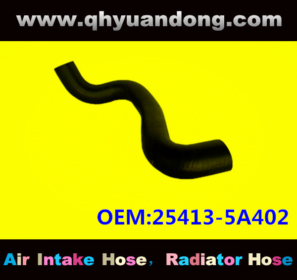Radiator hose GG OEM:25413-5A402