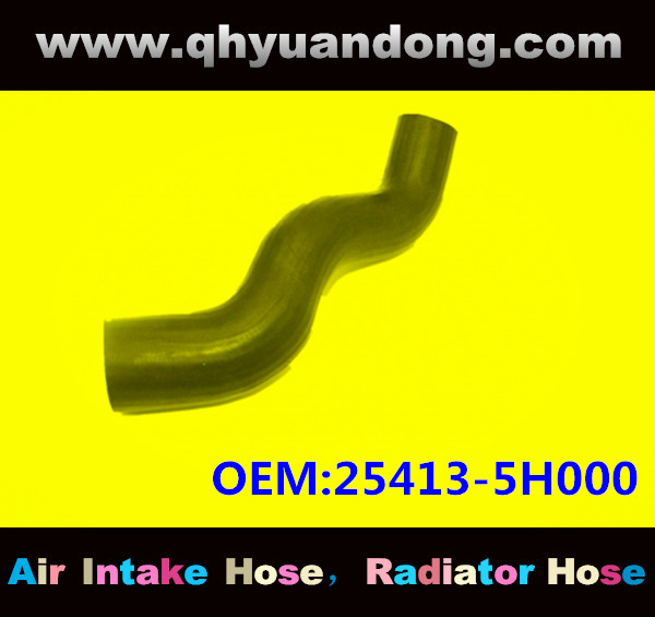 Radiator hose GG OEM:25413-5H000