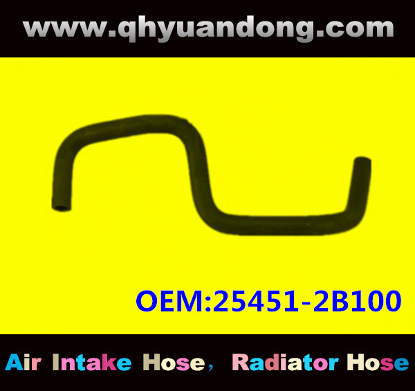 Radiator hose GG OEM:25451-2B100