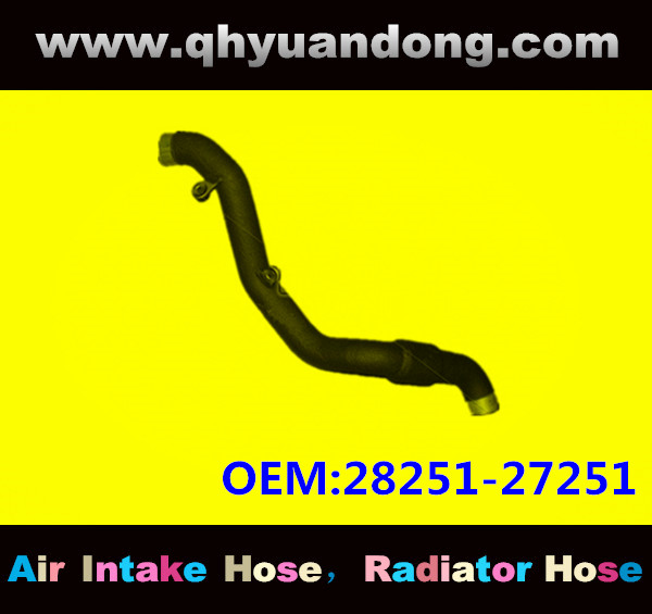 Radiator hose GG OEM:28251-27251