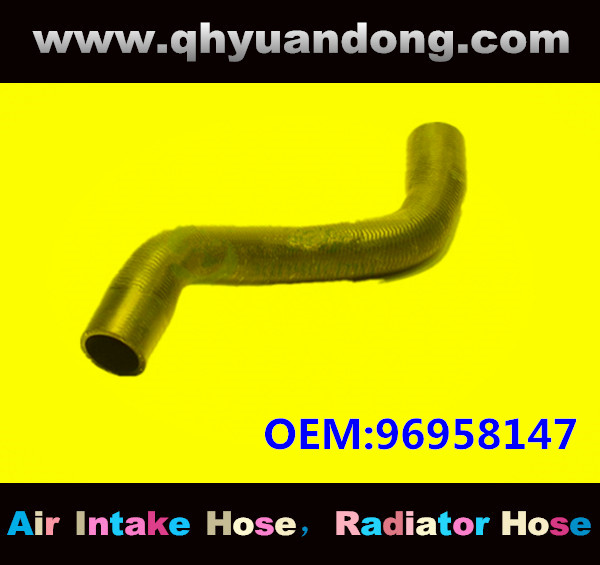 Radiator hose GG OEM:96958147
