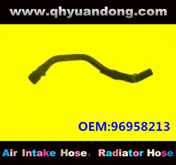 Radiator hose GG OEM:96958213