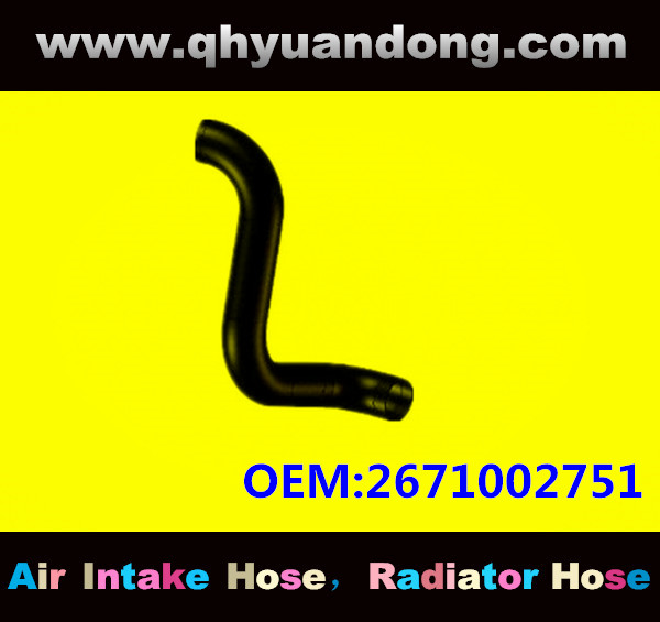 Radiator hose GG OEM:2671002751