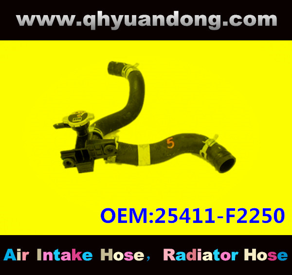 Radiator hose EB OEM:25411-F2250