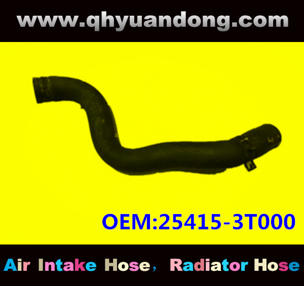 Radiator hose EB OEM:25415-3T000