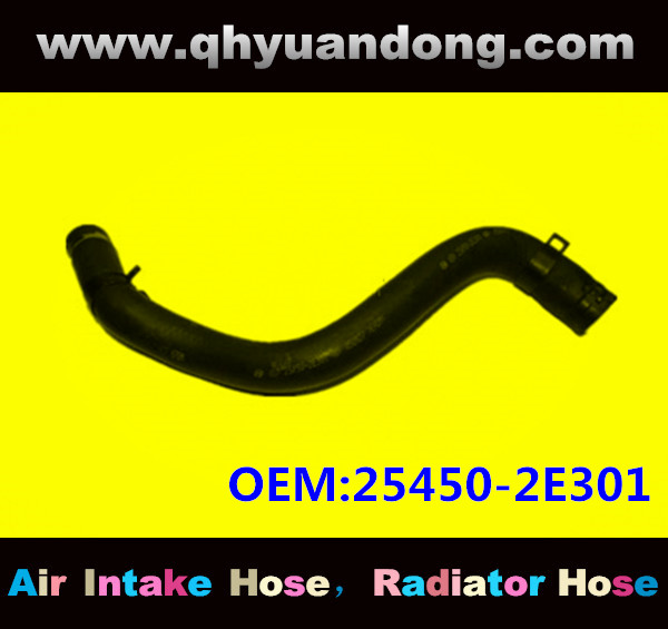 Radiator hose EB OEM:25450-2E301