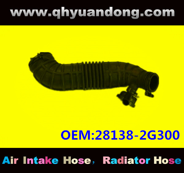 AIR INTAKE HOSE EB 28138-2G300