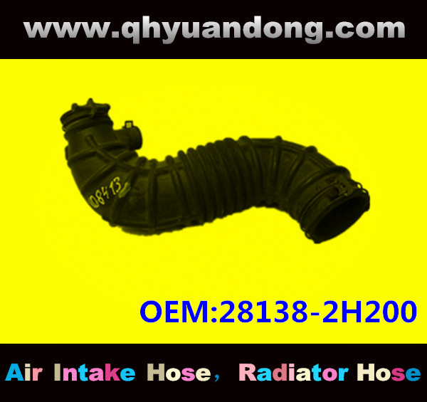 AIR INTAKE HOSE EB 28138-2H200