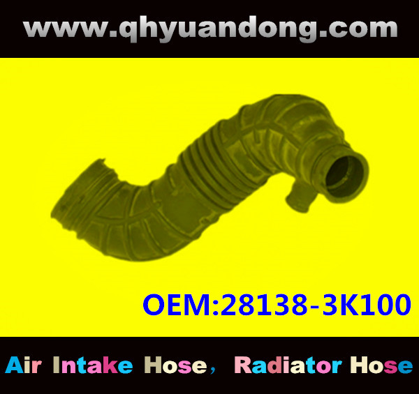 AIR INTAKE HOSE EB 28138-3K100