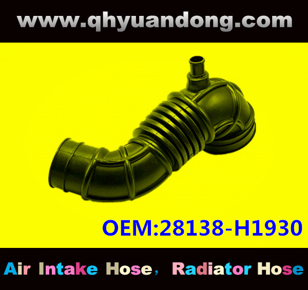 AIR INTAKE HOSE EB 28138-H1930