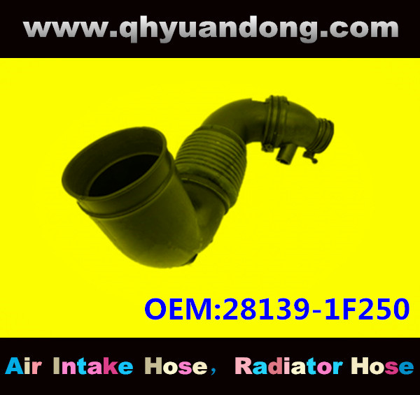 AIR INTAKE HOSE EB 28139-1F250