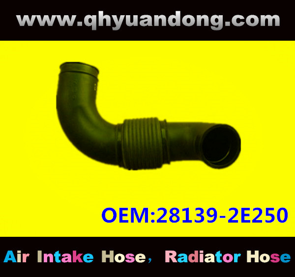 AIR INTAKE HOSE EB 28139-2E250